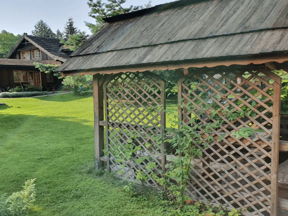 Drewniana altanka oraz rozłożony niebieski stelażowy basen dla gości agroturystyki