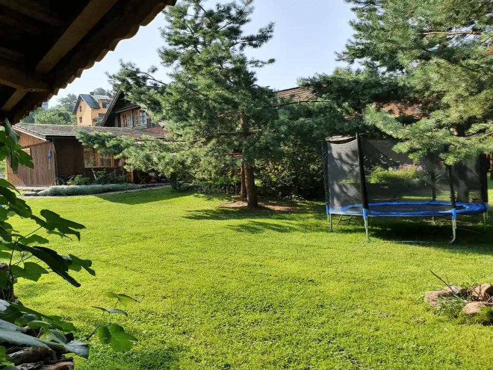 Trampolina oraz basen w ogrodzie karpackiego dworku, na trampolinę pada cień z położonego obok drzewa
